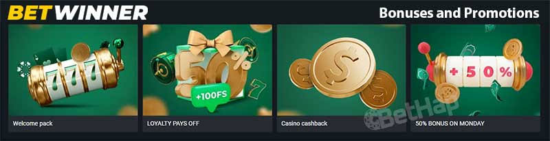 Everything You Need to Know About BetWinner -949057572